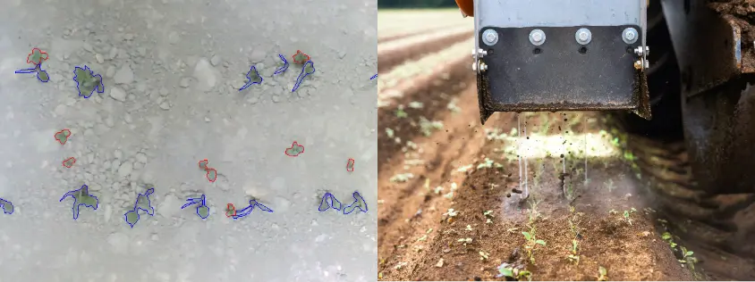 Tiefgrün precision weeding machine detection overview